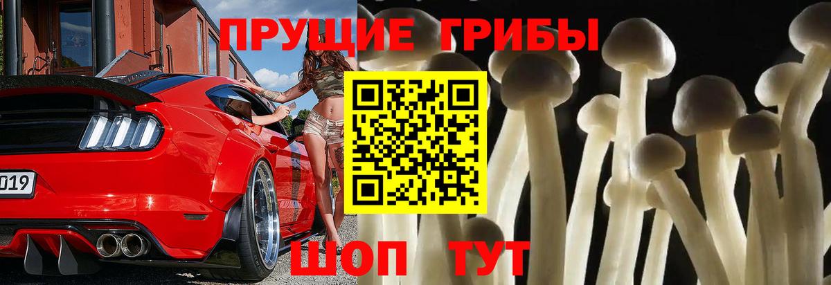 Галлюциногенные грибы Psilocybine cubensis  Псилоцибиновые грибы MAGIC MUSHROOMS  Кохма  Вход с VPN 